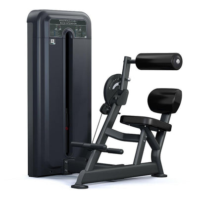 PULSE Fitness Dual Use Abdominal / Lower Back Extension